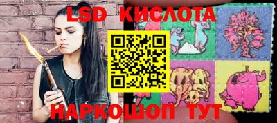дживик Кингисепп