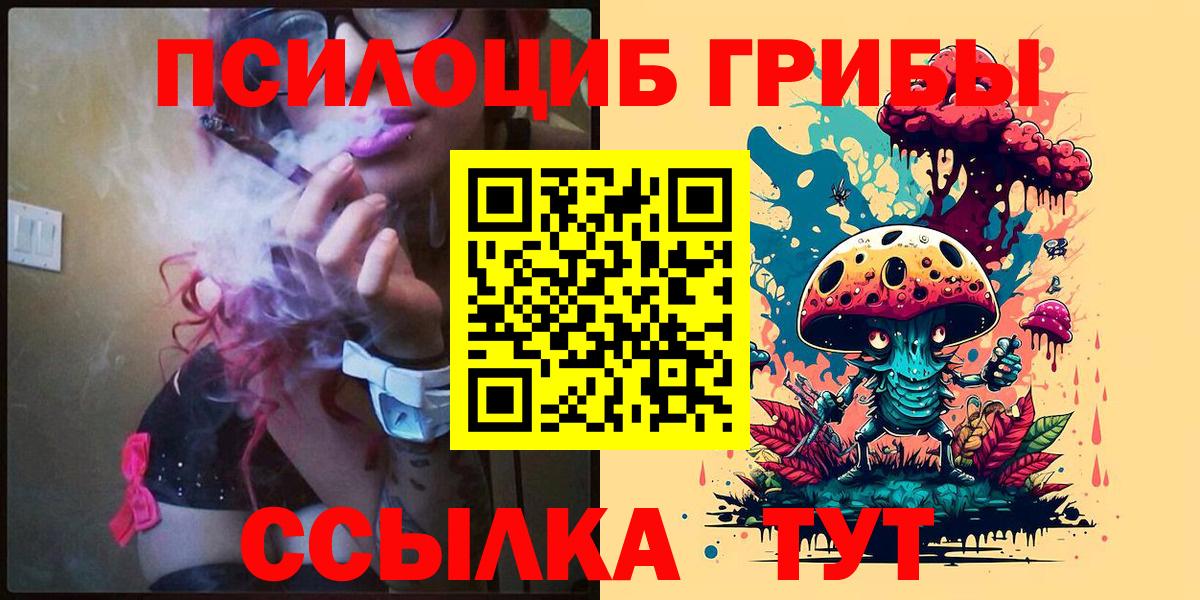 Псилоцибиновые грибы Psilocybe Краснодар