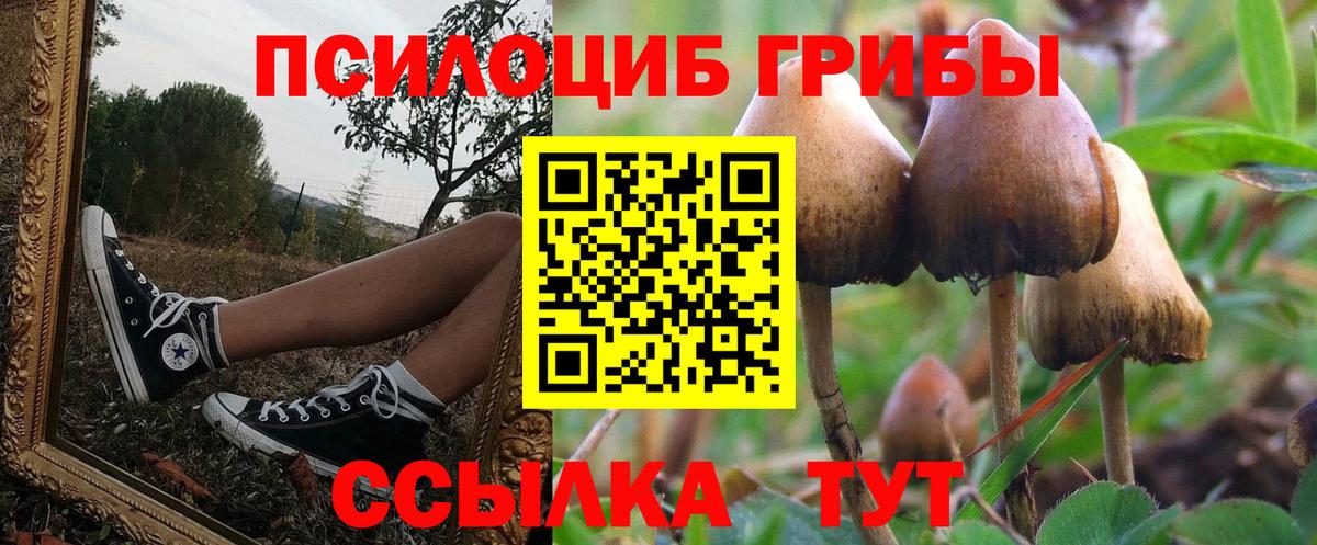 Псилоцибиновые грибы ЛСД  Вход с VPN  Краснодар 
